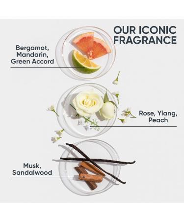 Biolage Color Last For Lasting Color Mini Set - Discover Premium Quality Shop now! - Buy Online on GoSupps.com
