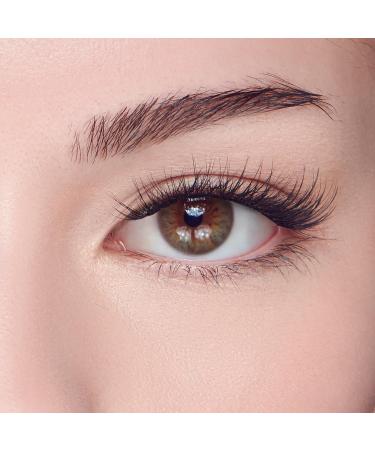 Kiss Holiday Lash Case Kit - Discover Premium Quality Shop now! - Buy Online on GoSupps.com