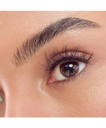 Kiss Holiday Lash Case Kit - Discover Premium Quality Shop now! - Buy Online on GoSupps.com