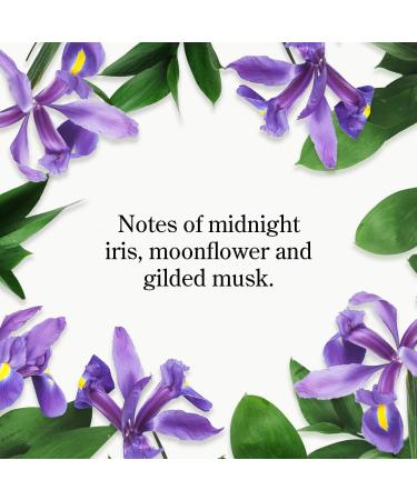 Beekman 1802 Beekman 1802 x Wicked Itâ€™s Time to Fly Hand Cream 3.4 oz - Transform Your Style with the Best Innovation Today! - Buy Online on GoSupps.com