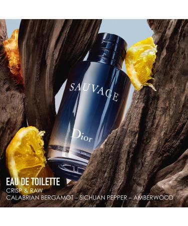 Dior Sauvage Eau de Toilette Gift Set - Limited Edition - Transform Your Style with the Best Innovation Today! - Buy Online on GoSupps.com