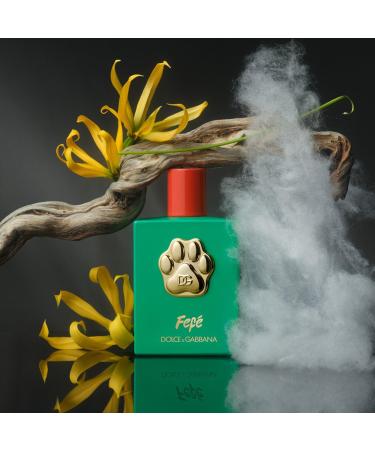 Dolce&Gabbana FefÃ© Alcohol-Free Fragrance Mist For Dogs 3.3 oz - Discover Premium Quality Shop now! - Buy Online on GoSupps.com