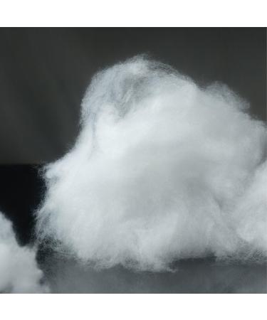 Dolce&Gabbana FefÃ© Alcohol-Free Fragrance Mist For Dogs 3.3 oz - Discover Premium Quality Shop now! - Buy Online on GoSupps.com