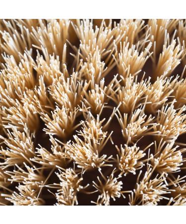 Discover Urban Veda Ayurvedic Dry Body Brush for Exfoliation & Circulation 1 ct - Elevate Your Style Instantly! - Buy Online on GoSupps.com