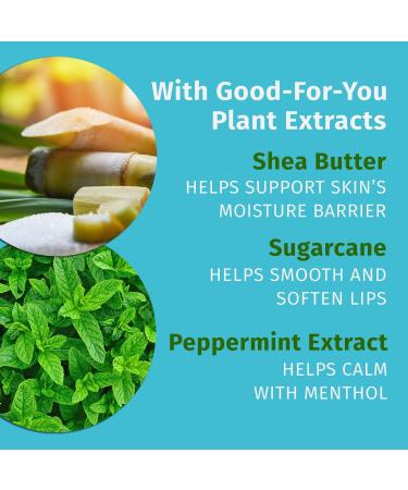 Hempz Limited Edition Crushed Peppermint Sugar Herbal Lip Balm 0.44 oz - Discover Premium Quality Shop now! - Buy Online on GoSupps.com
