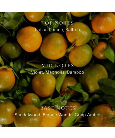 Discover Oak Essentials Violet Santal Eau de Parfum 1.7 oz - Elevate Your Style Instantly! - Buy Online on GoSupps.com