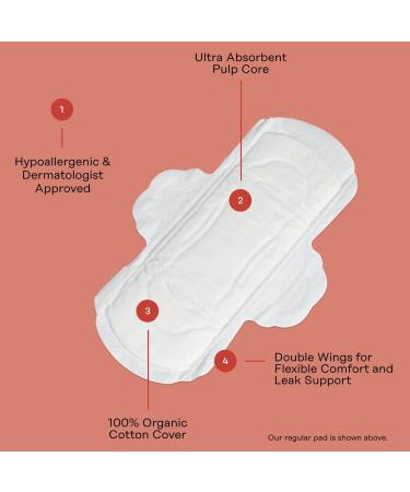 The Honey Pot Company Non-Herbal Regular Pads with Wings 20 ct - Discover Premium Quality Shop now! - Buy Online on GoSupps.com