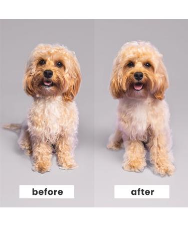 Tangle Teezer Small Detangling Dog Grooming Brush Lilac/Yellow - Transform Your Style with the Best Innovation Today! - Buy Online on GoSupps.com