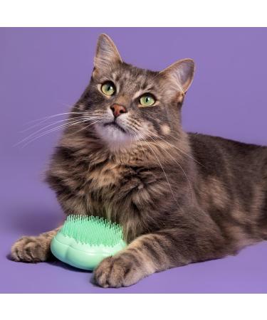 Tangle Teezer Cat Grooming Brush Green - Discover Premium Quality Shop now! - Buy Online on GoSupps.com