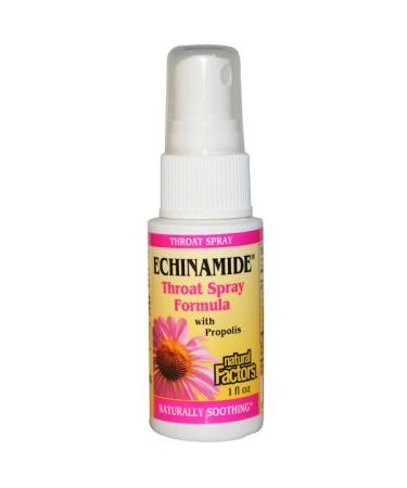Natural Factors Echinamide Throat Spray Formula with Propolis 1 fl oz