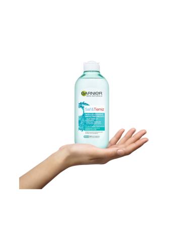 Garnier Pure & Clean Micellar Flawless Make-Up Remover Water 400 Ml - Buy Online on GoSupps.com