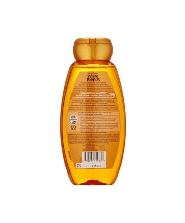 Garnier Whole Blends Moroccan Argan and Camellia Oil Shine Shampoo 370ml - Buy Online on GoSupps.com