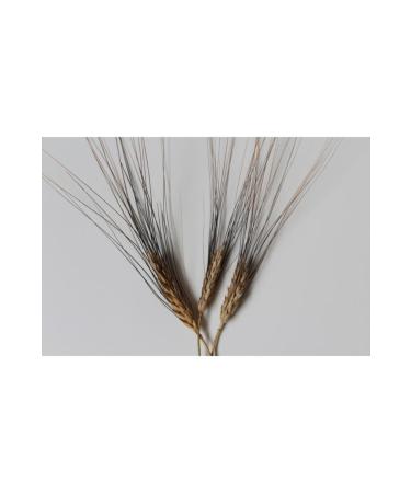  pekova Food Karak l k pek Sieve Flour (without bran) 5 kg - Buy Online on GoSupps.com