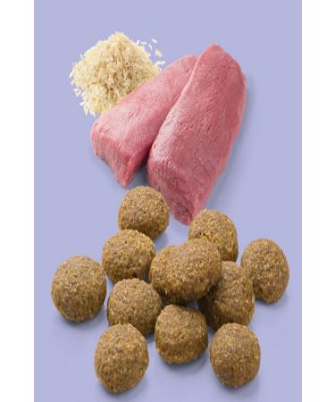 Mera Pure Sensitive Lamb Adult Dog Food 12.5+4 kg - Buy Online on GoSupps.com