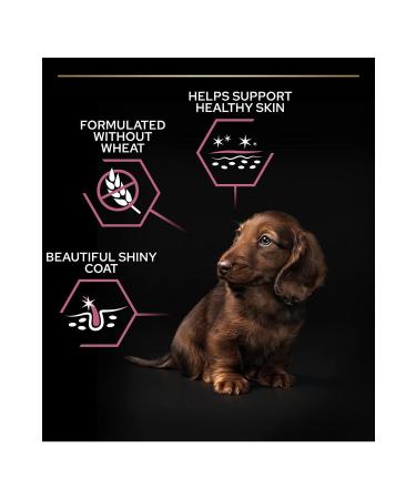 Pro Plan Sensitive Skin Salmon and Rice Small Breed Adult Dog Food 3 kg - Buy Online on GoSupps.com