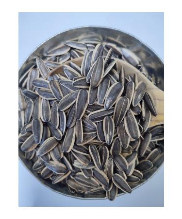TAHILKENT Unroasted Sunflower Seeds 5 Kg Medium Grain (2.5 KG X 2) 2024 Harvest - Buy Online on GoSupps.com