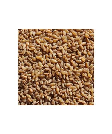 INDEPENDENCE ROAD Einkorn Bulgur (4 Kg) - Buy Online on GoSupps.com