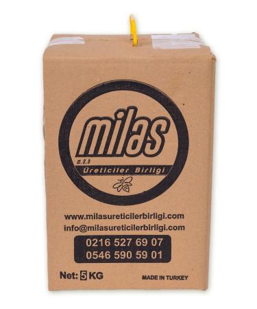 Milas Producers Association Pure Pine Honey 5kg Tin 2nd milking (FOR PROMOTION PURPOSES) - Buy Online on GoSupps.com