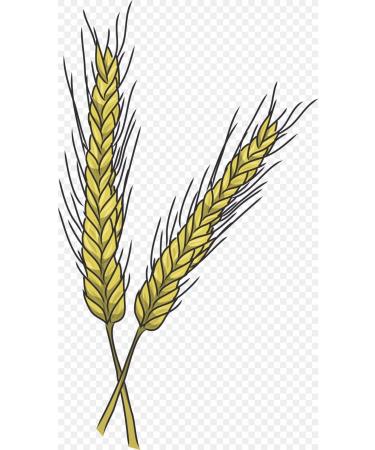 CAPPADOCIA Red Wheat Spelt (dinkel) Flour 1 Kg - Buy Online on GoSupps.com