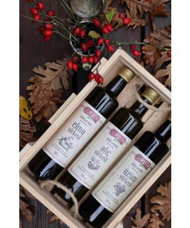 Gurvita Organic Vinegar Set 500 ml 3' Pcs - Buy Online on GoSupps.com