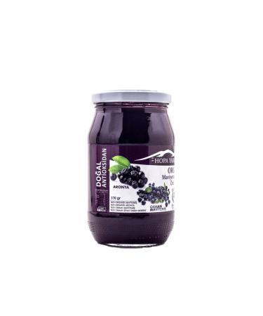 Hopa Blueberry Organic Blueberry and Aronia Extract Puree - Sugar Free - 350gr - Buy Online on GoSupps.com