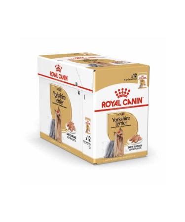 Royal Canin Yorkshire Terrier Adult Wet Dog Food 85 gr 12 Pieces - Buy Online on GoSupps.com