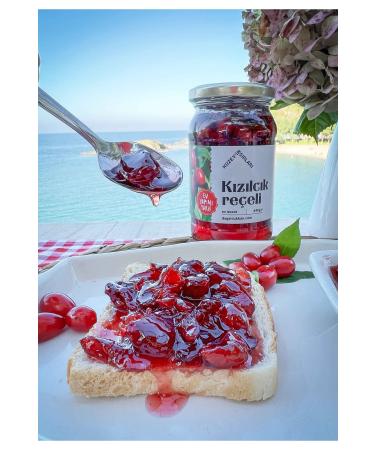 NATURAL DUKKAN Natural Cranberry Jam (440 Gr) - Buy Online on GoSupps.com