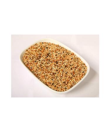 Seeding Special Seeded Budgie Food 5 Kg - Buy Online on GoSupps.com