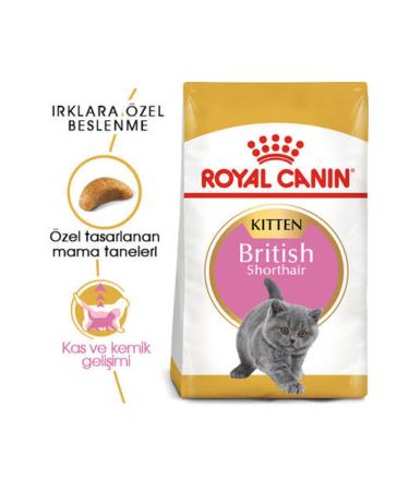 Royal Canin Kitten British Shorthair Kitten Cat Food 2 Kg - Buy Online on GoSupps.com