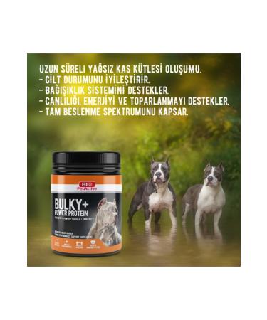 Bio PetActive Bulky Power - Muscle Builder for Dogs - Buy Online on GoSupps.com