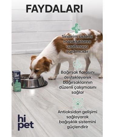 HiPet Liquid Probiotic Dog Probiotic 50 ml - Buy Online on GoSupps.com