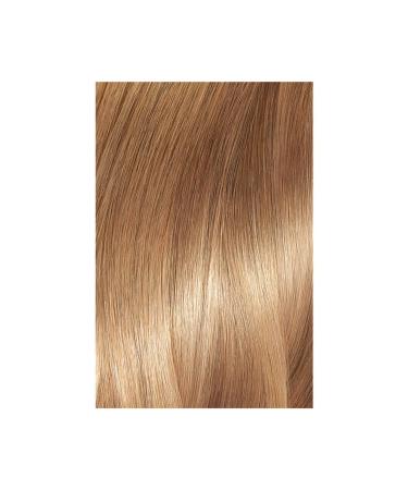 L'Oreal Paris Excellence Creme 7.31 Honey Foam - Buy Online on GoSupps.com