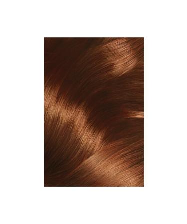 L'Oreal Paris L'or al Paris Excellence Creme Hair Dye 6.41 Hazelnut Brown - Buy Online on GoSupps.com