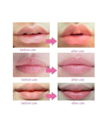 Lip Gloss and Moisturizing Lipstick with Dried Flower Content - Buy Online on GoSupps.com