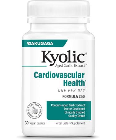 Kyolic Aged Garlic Extract Formula 250 Cardiovascular Health