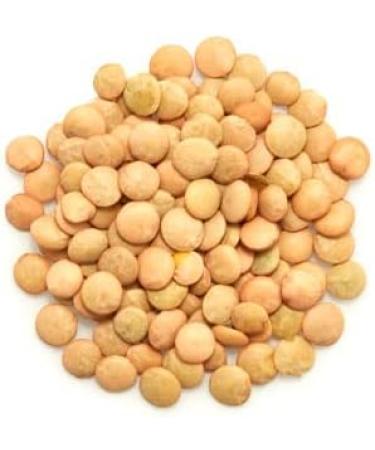 Yupik Organic Green Lentils 1kg Non-GMO Vegan Gluten-Free Kosher Raw Source of Fiber Iron & Protein Fiber & Iron Ideal for Soups Salads & Plant-Based Meals 1 kg (Pack of 1) - Buy Online on GoSupps.com