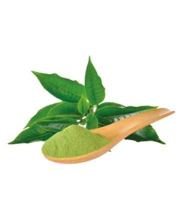 Fenjal Body Lotion Refreshing - Hydrating & Nourishing Skin Care for All Skin Types | Shop Internationally - Buy Online on GoSupps.com
