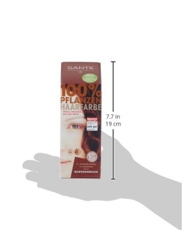Buy Sante Natural Cosmetics Chestnut Brown Hair Color Powder | Vegan 100g | Rich Brown Tone & Gray Coverage - Buy Online on GoSupps.com