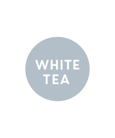 Tazo Cucumber White Tea Bags - Calming Beverage - 20 Tea Bags x 6 Pack - Buy Online on GoSupps.com