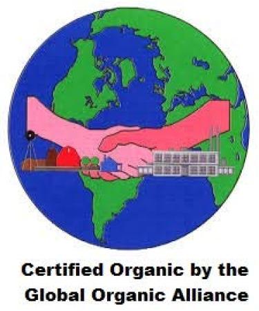 USDA Certified Organic Red Kidney Beans - 5 lbs | Non-GMO | Product of USA - Mulberry Lane Farms - Buy Online on GoSupps.com