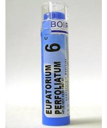 Eupatorium Perfoliatum 6C - Homeopathic Medicine for Flu Symptoms (80 Pellets)
