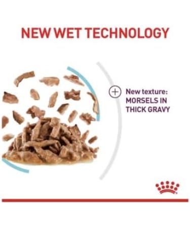 Royal Canin Sensory Feel in Gravy Wet Cat Food for Picky Cats 85g (Pack of 48) - Buy Online on GoSupps.com