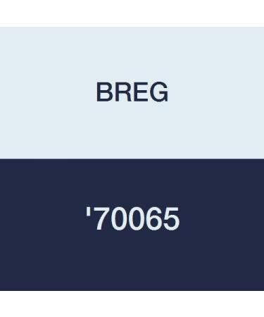 BREG '70065 Kit Refurbished X2K Cf XL