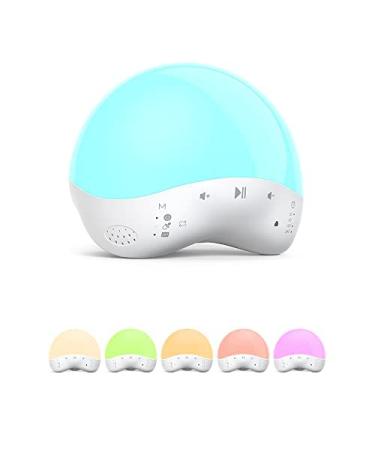 https://m.media-amazon.com/images/I/31-vCt7gBtL.jpg
