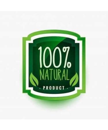 ORGANIZE Vetive poem Khus wortelpoder Vetiveia Zizanoides Poems Khuskus Ramachham 200gm - Buy Online on GoSupps.com