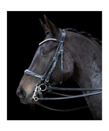 Schockem hle Sports Double Bridle Double Bridle EQUITUS Gamma XWB Black