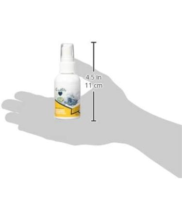 OurPets Frisky Spritz Catnip Spray 2oz - Irresistible Catnip Spray for Hours of Play - Buy Online on GoSupps.com