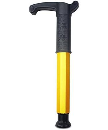 Walking Stick Adjustable Cane Elderly Go Out Non-Slip Crutch Aluminum Alloy Portable Walker Gold powerfully - Buy Online on GoSupps.com
