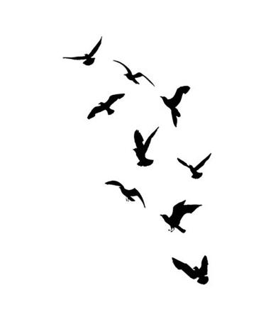 6 Sheets Fake Tattoos Set Silhouette Set of Flying Seagulls Birds on White Inspirational Body Fla Temporary Tattoos suitable for Adult Women Men for Children Boys and Girls 3.7 X 3.7 Inch 3.7x3.7 6