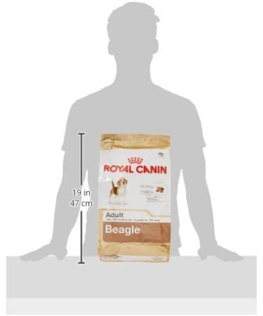 ROYAL CANIN/BEAGLE ADULT 3 kg bag of kibble for Beagle from 12 months - Buy Online on GoSupps.com